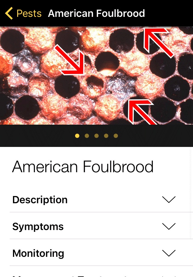 Bee Health screenshot 2