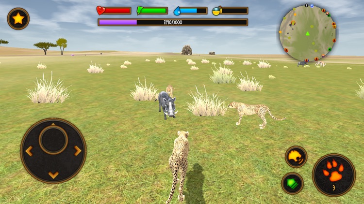 Clan Of Cheetahs screenshot-4