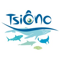 TsiÔno sur PC