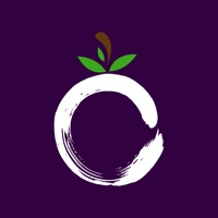Vibe Foods Rewards pour PC