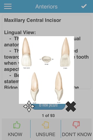 NBDE Dental Anatomy Cram Cards - náhled