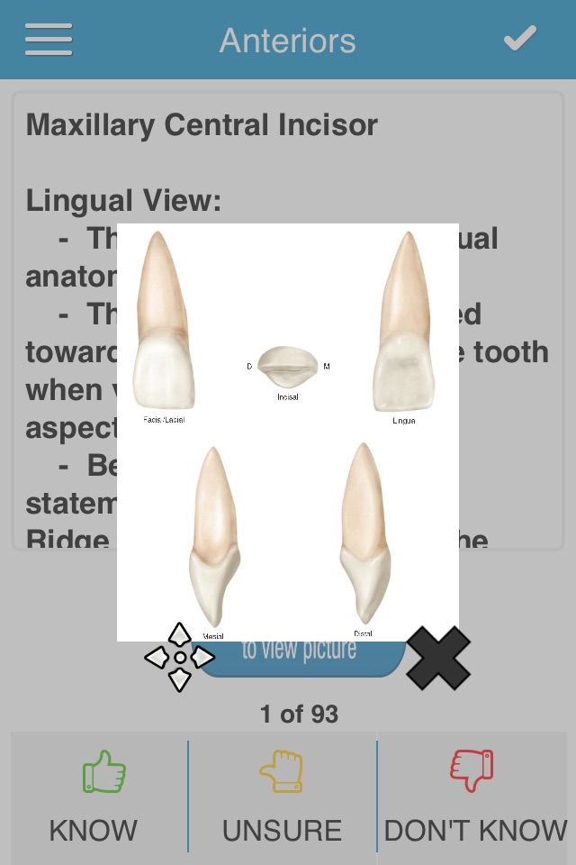 NBDE Dental Anatomy Cram Cards screenshot 2
