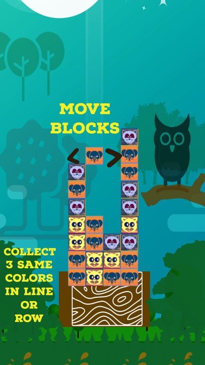 Forest Segma - Animal Blocks