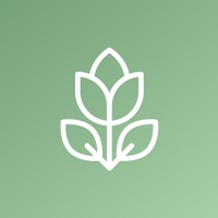 Guide For Essential Oils