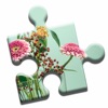 Vases & Flowers Puzzle