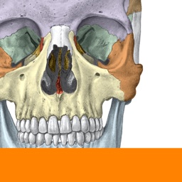 Sobotta Anatomy by Elsevier GmbH