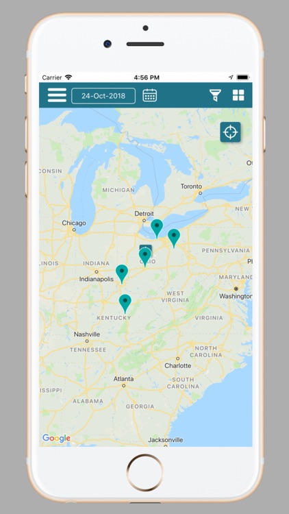 Fleas, Shows and More