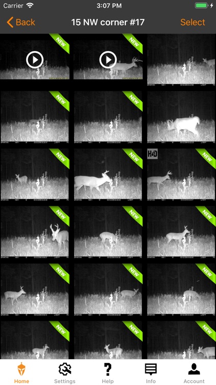Spartan Camera Management