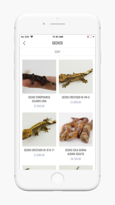 REPTILE TRADE screenshot 3