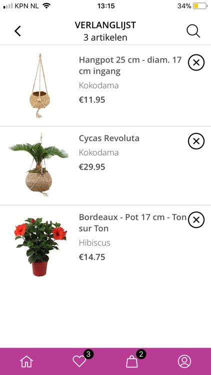 Florastore screenshot-3