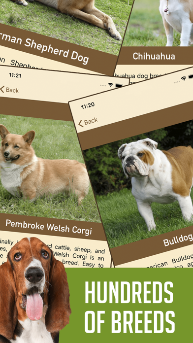 DogSnap - Dog Breed Identifier screenshot 2