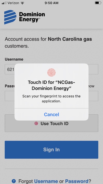 NC Gas - Dominion Energy