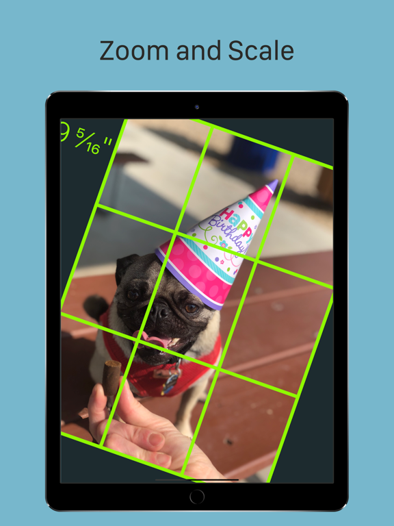 Grid Painter App voor iPhone, iPad en iPod touch AppWereld