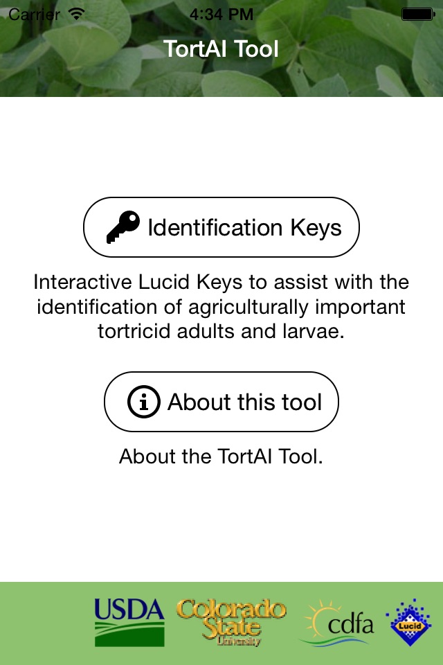 TortAI Key screenshot 2