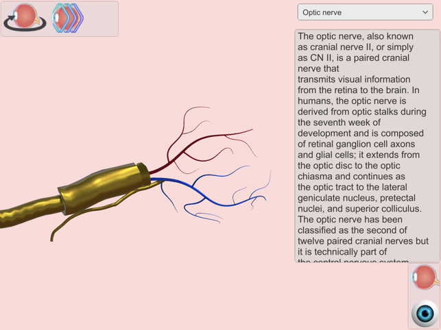 ‎Eye Anatomy Atlas Screenshot