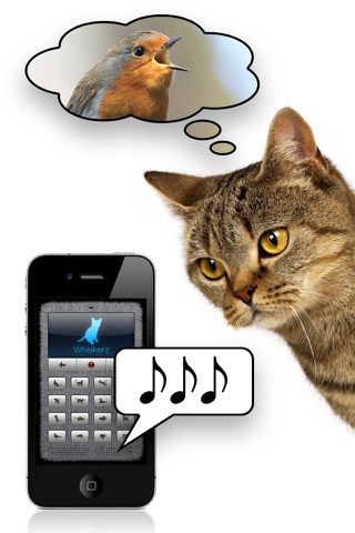 Human-to-Cat Translator - náhled