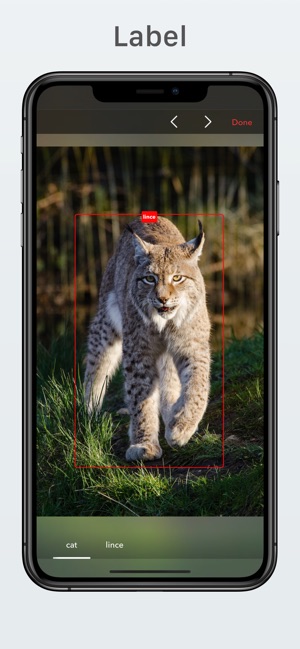 Lince(圖4)-速報App