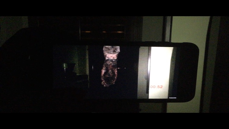 Night Terrors: Bloody Mary screenshot-5