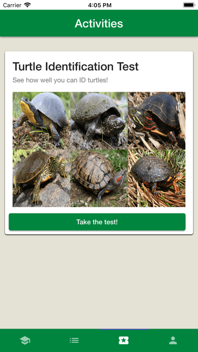 Turtle Guardians screenshot 4