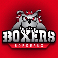 Boxers de Bordeaux pour PC