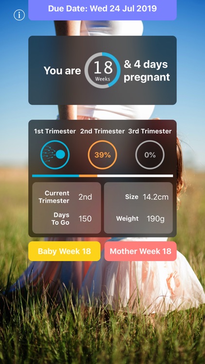 Pregnancy Today - Baby Tracker screenshot-0
