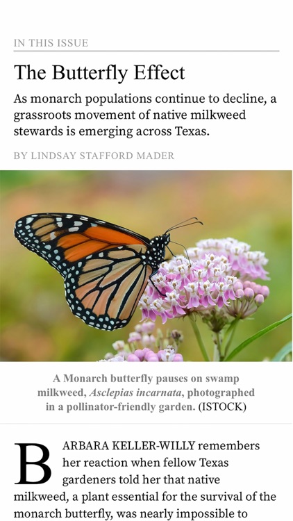 The Texas Observer screenshot-5