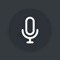 Icon Voice Notes App
