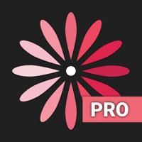 WomanLog Pro 달력 PC 용