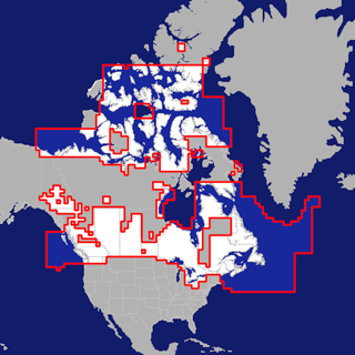 Canadian Nautical Charts Free Download