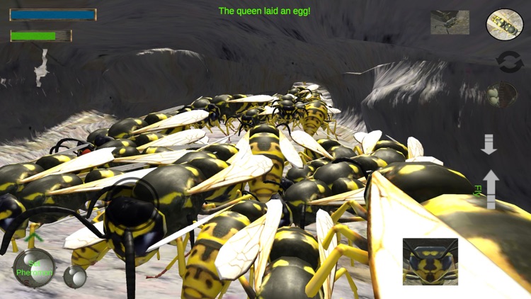 Wasp Nest Simulation Full screenshot-3