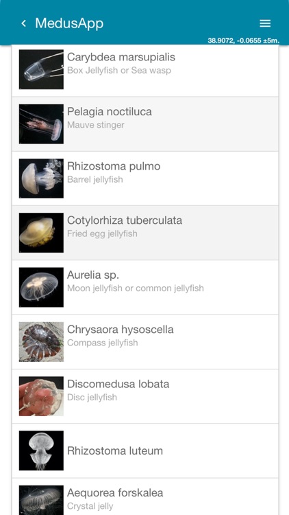 MedusApp screenshot-4