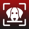 Dog Breed:Scanner & Identifier