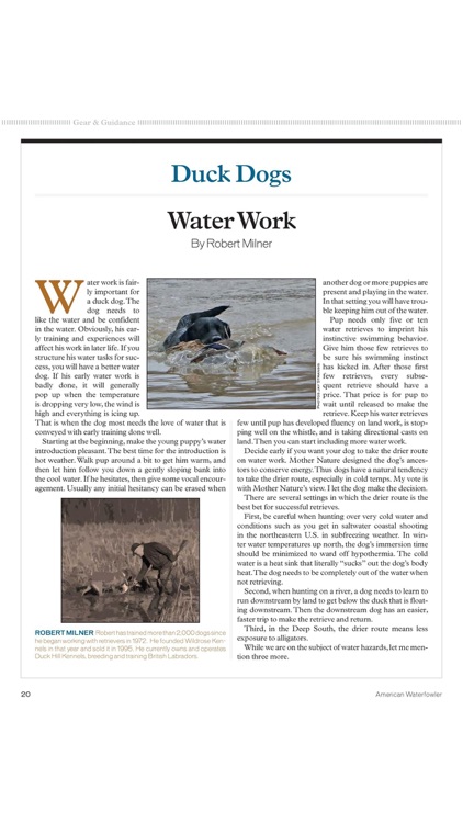 American Waterfowler