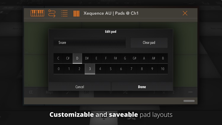 Xequence AU | Pads