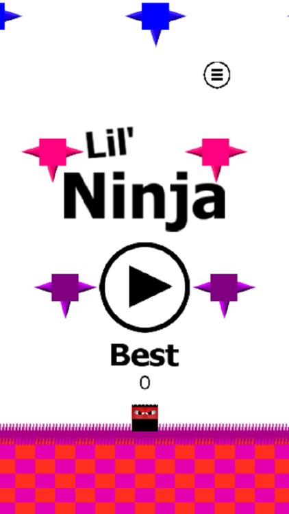 Lil Ninja