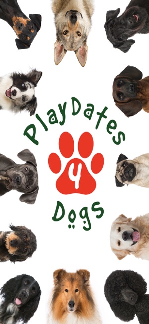 PlayDates4Dogs