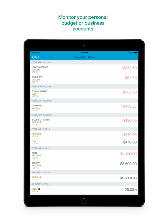 Account Book - Money Manager screenshot 2
