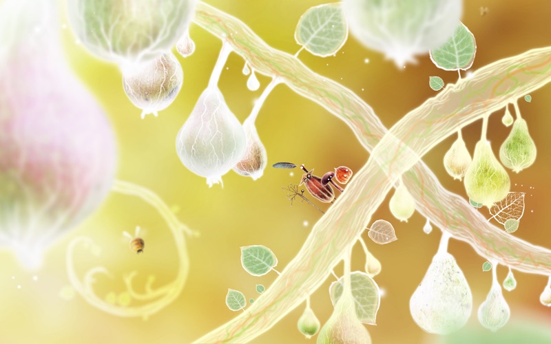 botanicula mac free download