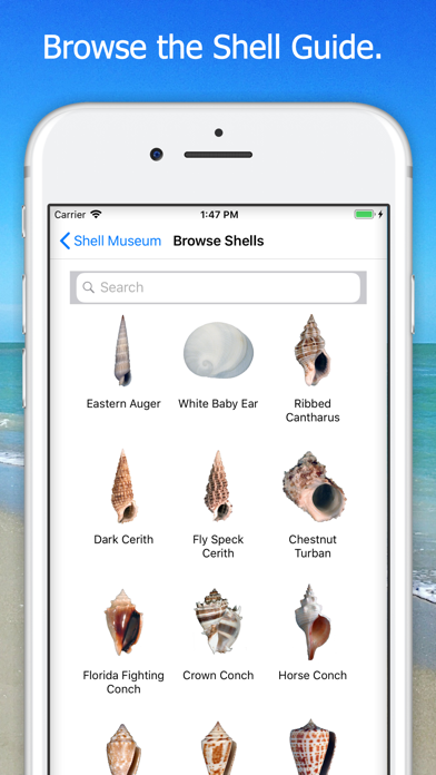 How to cancel & delete Shell Museum: Identify Shells from iphone & ipad 4