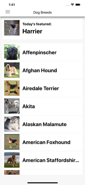 Dog Breeds HD Wallpapers(圖3)-速報App