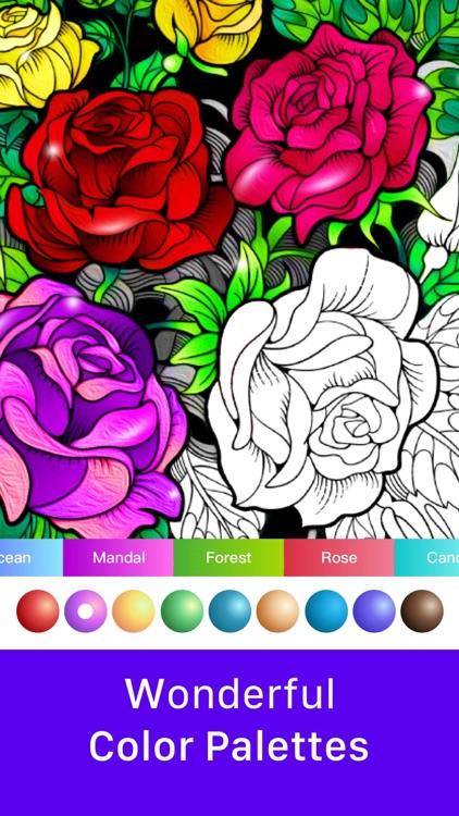 inColor - Coloring & Drawing screenshot-6