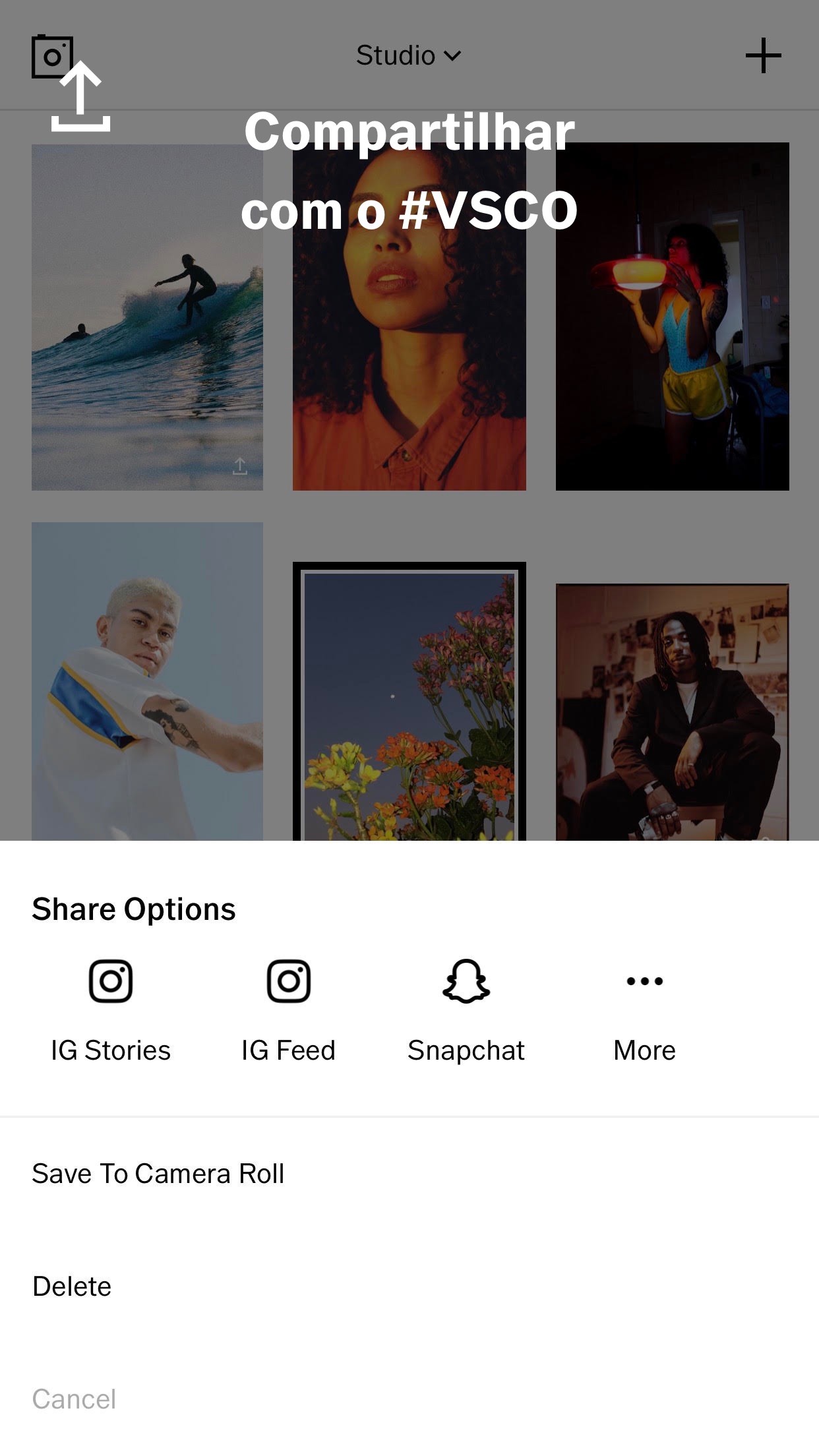 Screenshot do app VSCO: Editor de Fotos e Vídeos
