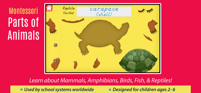 Parts Of Animals - Vertebrates(圖1)-速報App