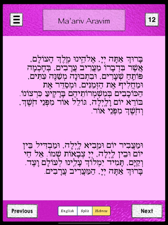 Friday Night Shabbat Service screenshot-7