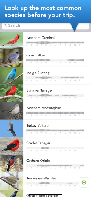 Bird Compatibility Chart