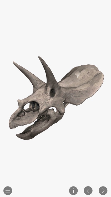 World of Dinosaurs screenshot-8