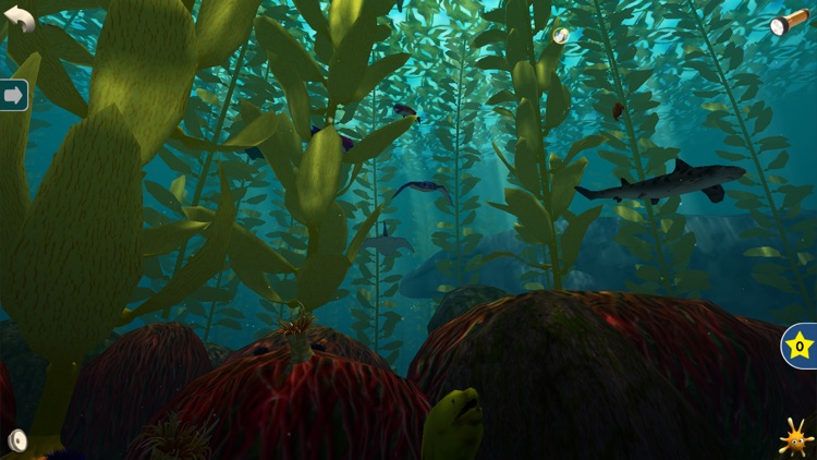 Ocean Forests screenshot-4