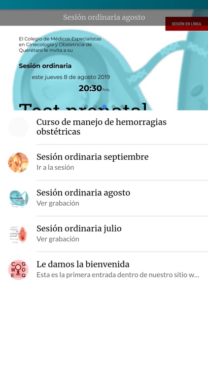 Colegiados CMEGOQ screenshot-3