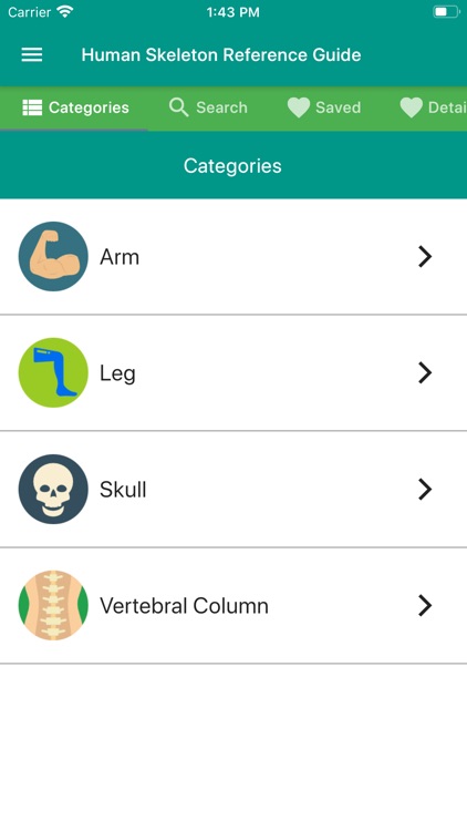 Human Skeleton Reference Guide