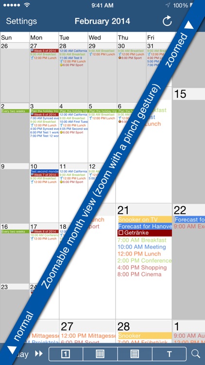 CalenGoo Calendar
